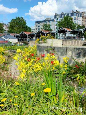 Le parc Georges Brassens
