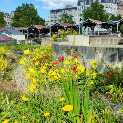 Le parc Georges Brassens