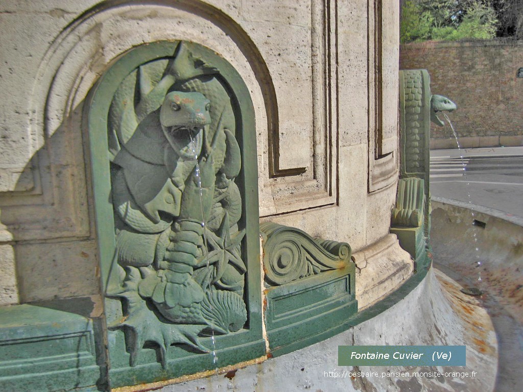 La fontaine Cuvier