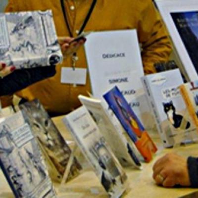 Salon(s) du livre