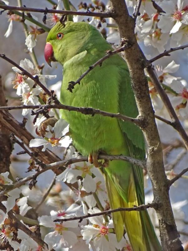 C'est le printemps !
