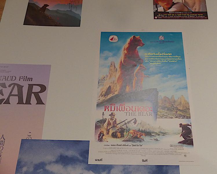 Affiches ours 1