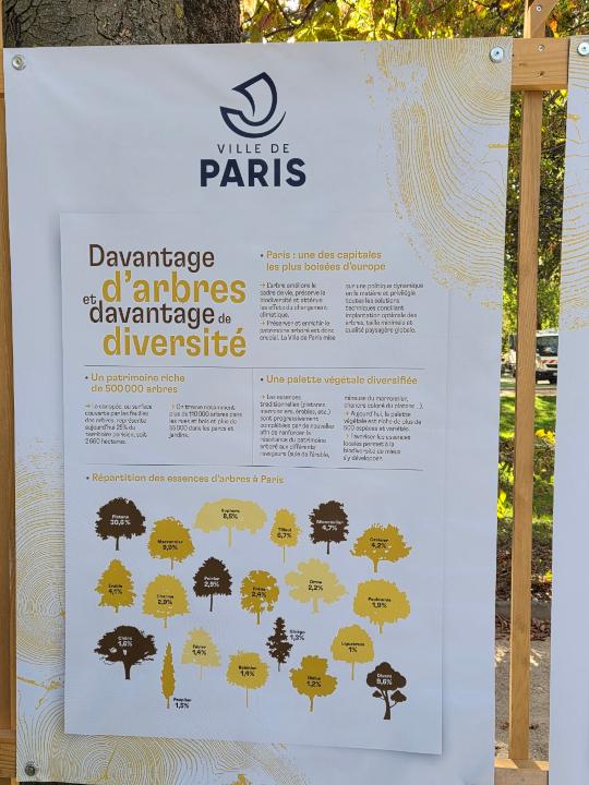 Arbre paris 1