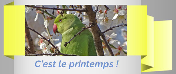 Bandeauprintemps