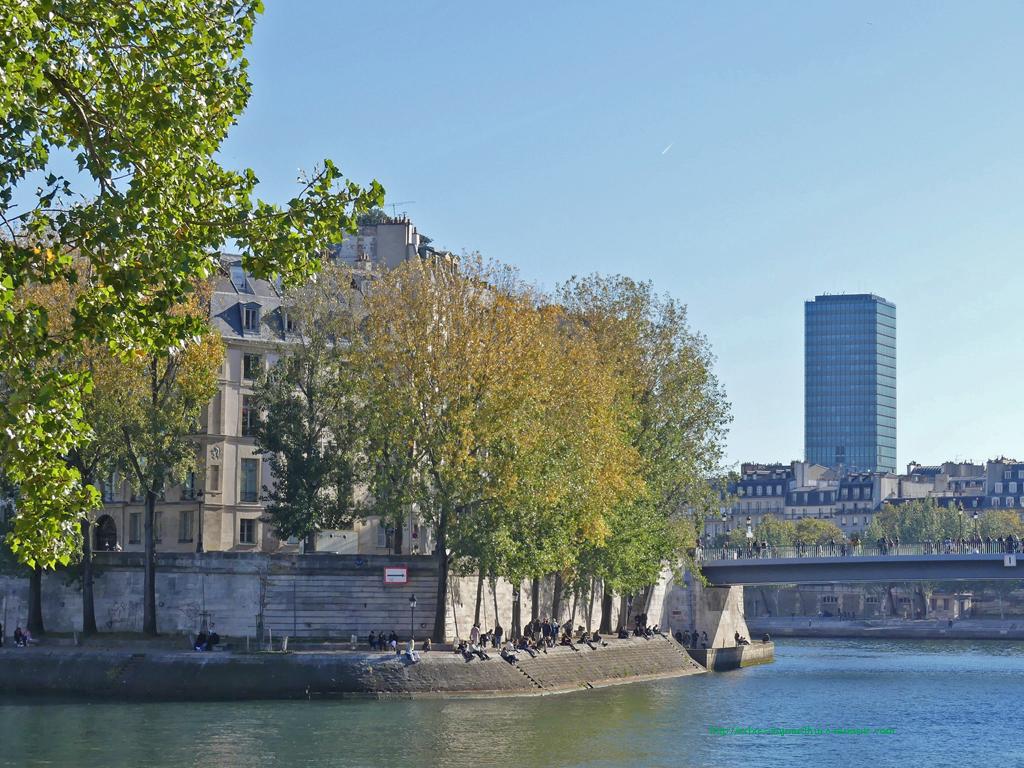 Ile de la Cité