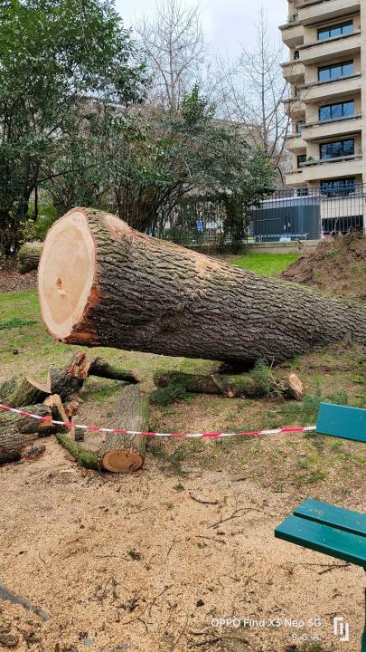 3. tombé entre 2 bancs