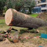 3. tombé entre 2 bancs