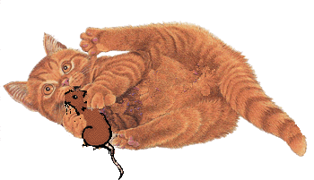 Chatsouris2