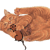 Chatsouris2