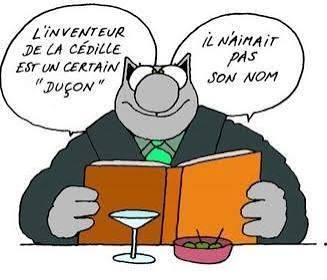 Duc on