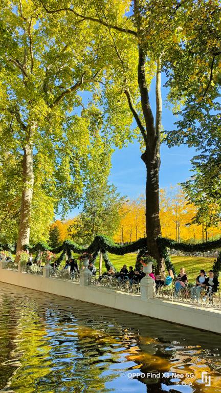 Fontaine m arbres 1