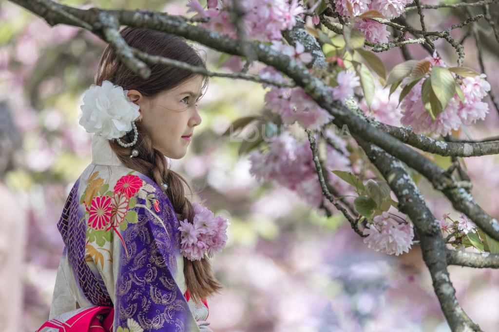 Hanami 