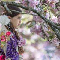 Hanami 