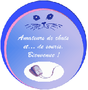 Logo on a dit chat