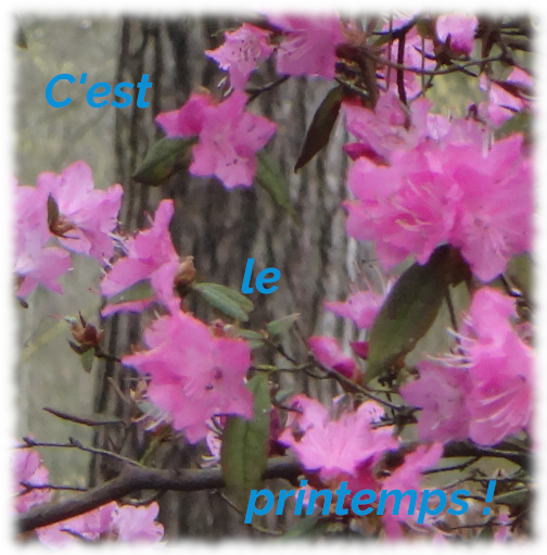 Logo printemps