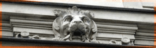 S lion