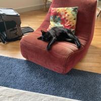 Skippy 243