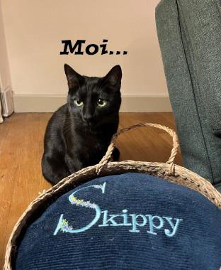 V skippy presentation